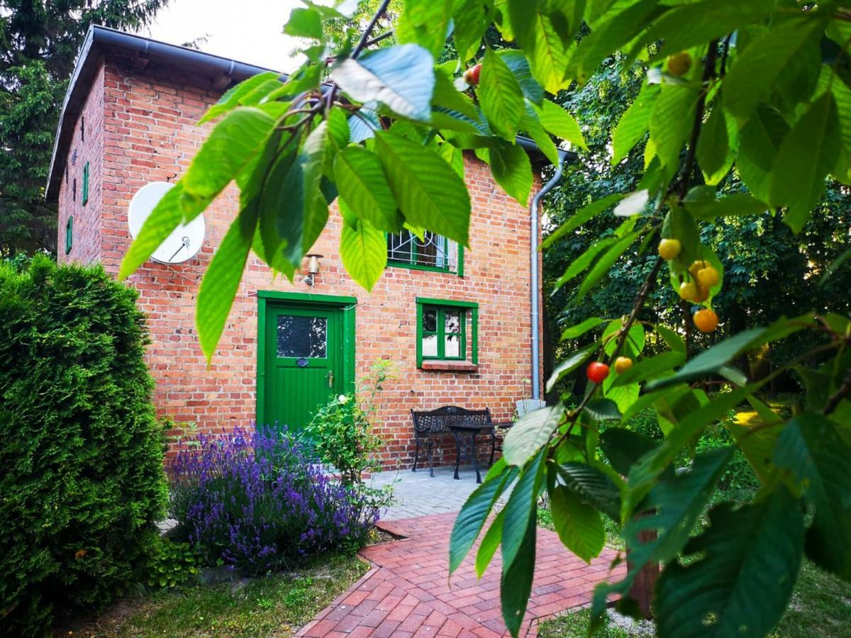 Appartamento Gutshof Gross Behnkenhagen Esterno foto